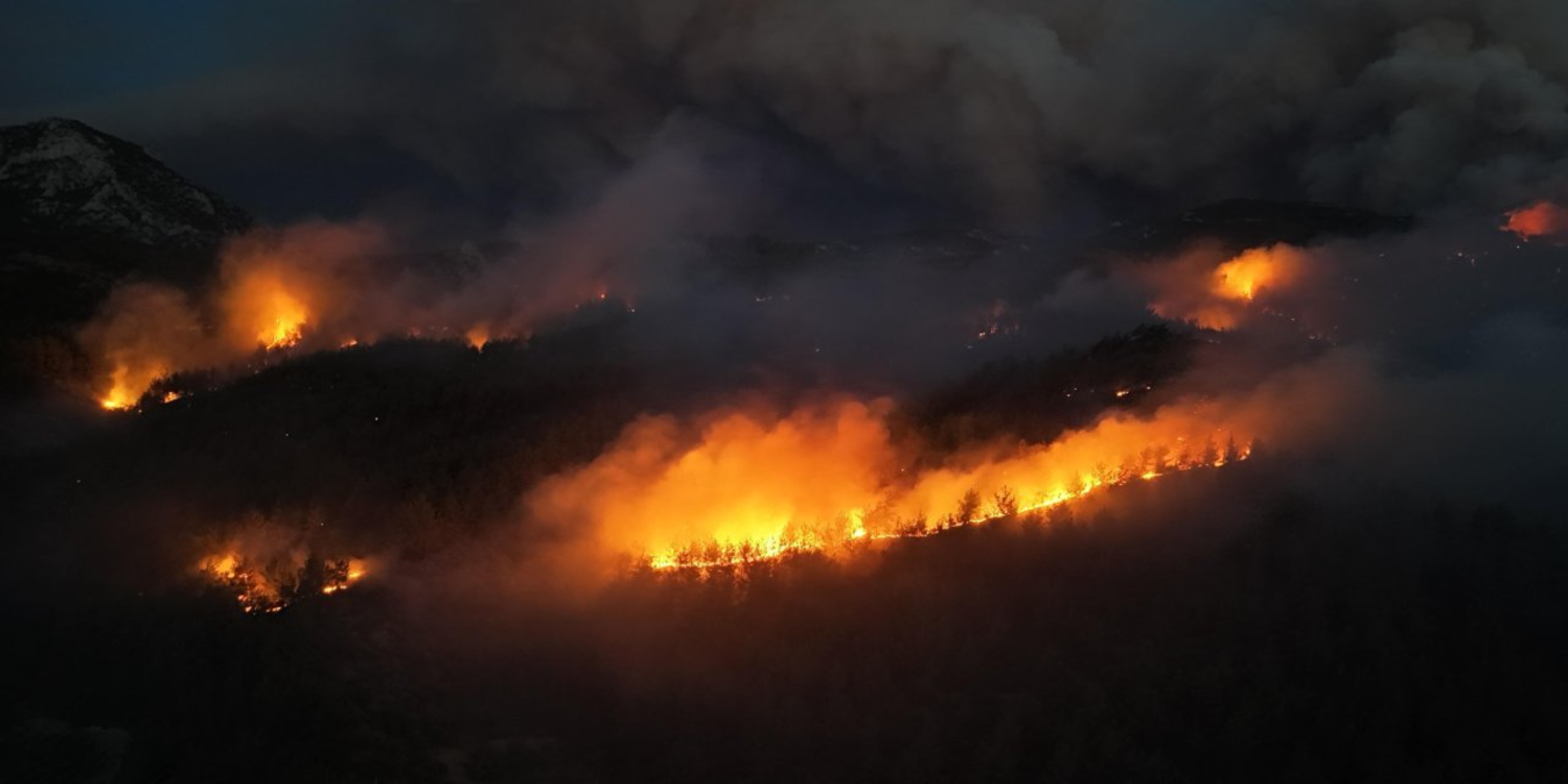Sakarya-Bilecik orman yangınında son durum